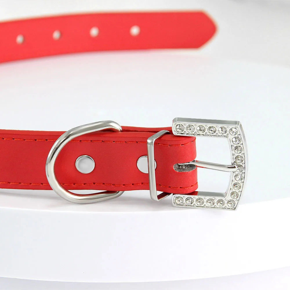 Collier chien cuir vert  attache produit  Image