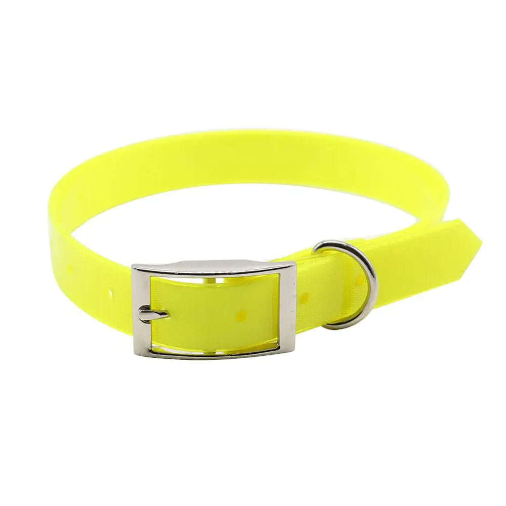 Collier chien de chasse jaune fluo