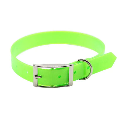 Collier chien de chasse vert fluo