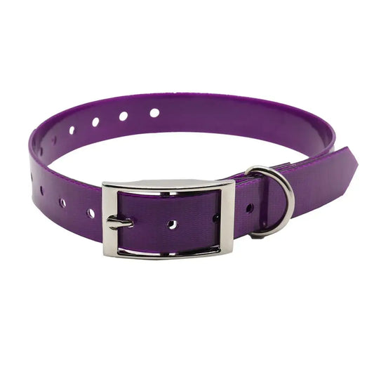 Collier chien de chasse violet