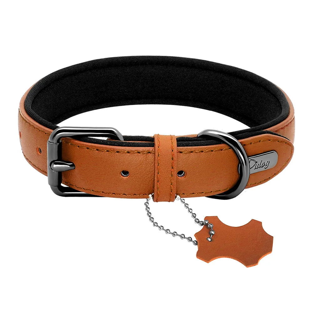 collier chien style cuir de couleur brun de haute qualité. Image produit Boutiquechien