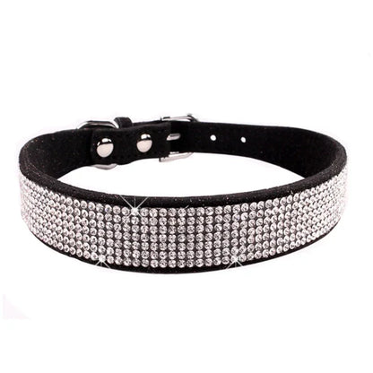 Collier chien à paillette noir . Image produit Boutiquechien