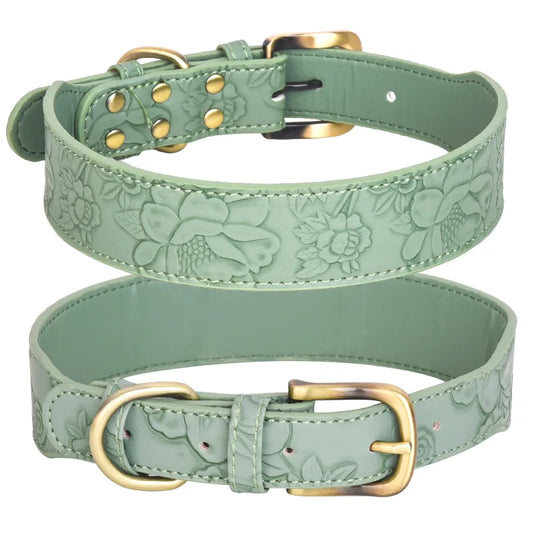 Collier chien de luxe vert