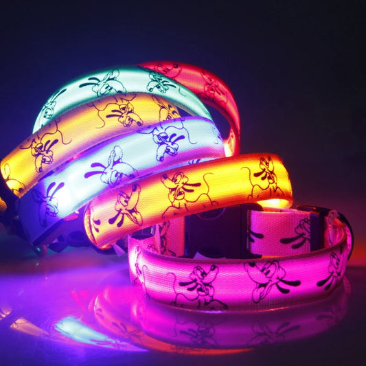 collier pour chien lumineux de couleurs rose, orange, violet, jaune, vert et rouge. Image produit Boutiquechien