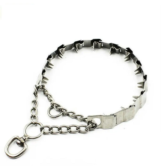 collier chien étrangleur de couleur métal. Le collier étrangleur est parfait pour dresser les chiens. Image produit Boutiquechien