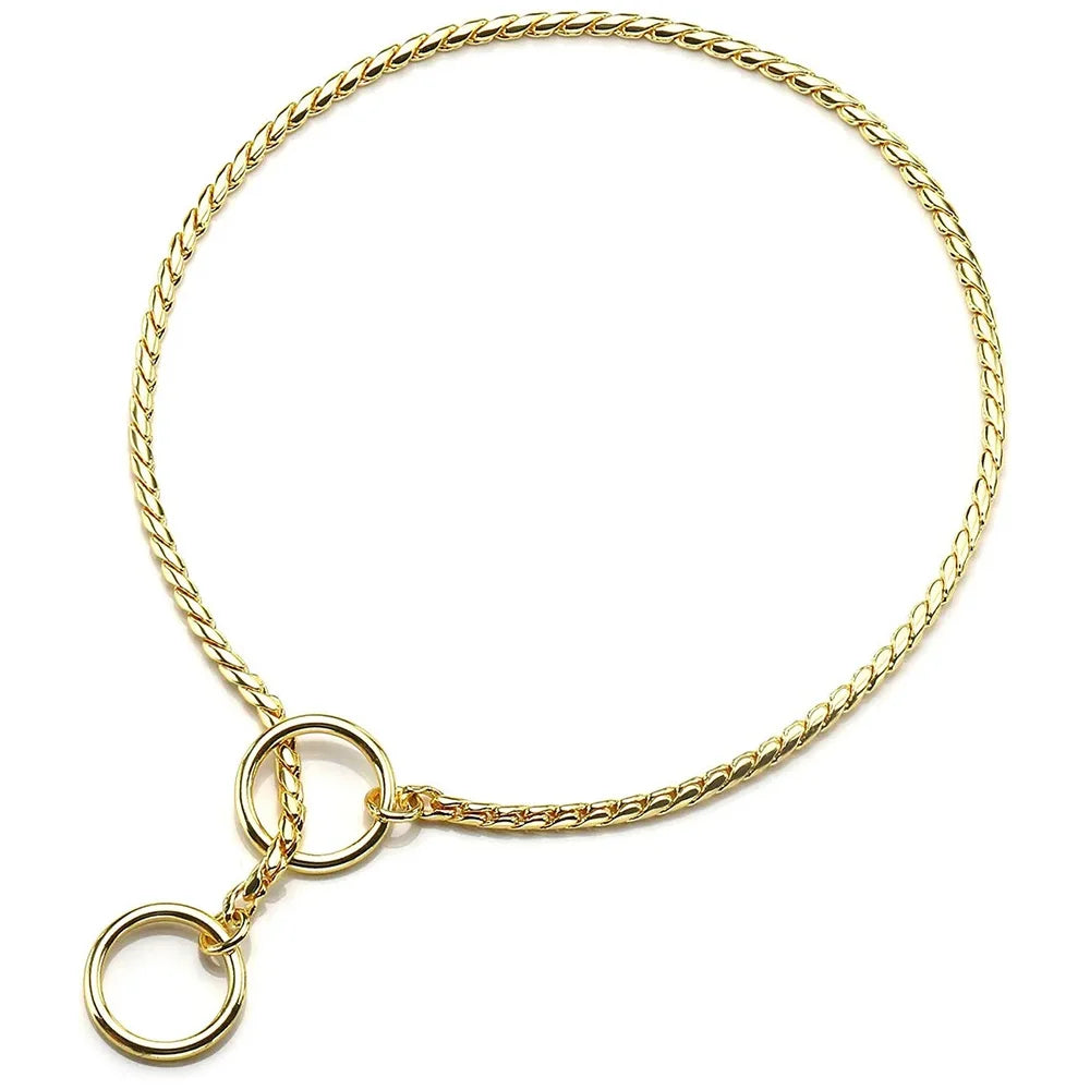 collier pour chien étrangleur de couleur or. le collier est très fin et il est de couleur or. Image produit Boutiquechien