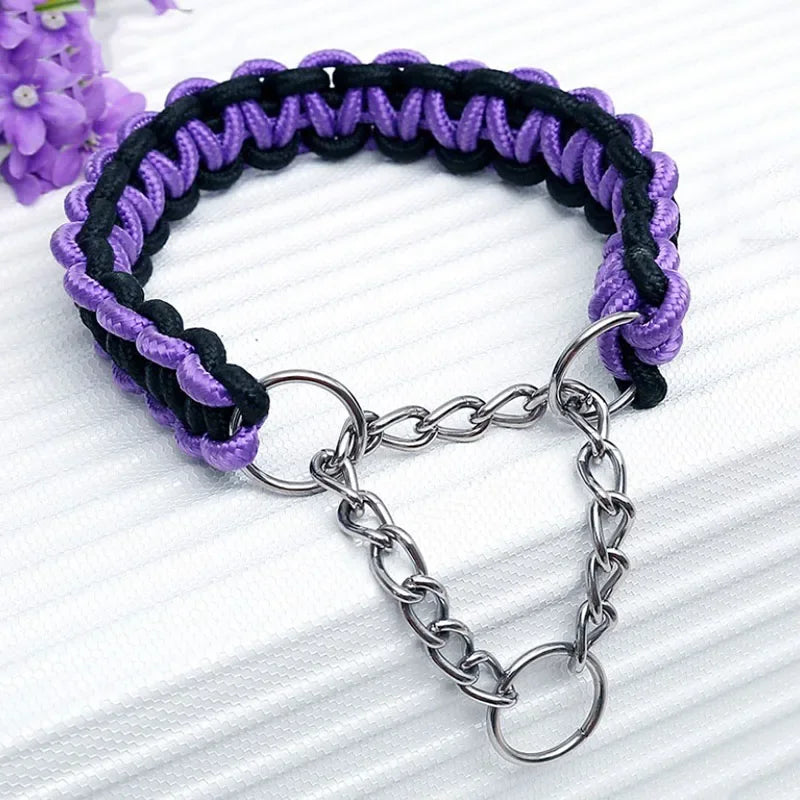 Collier chien étrangleur de couleur violet et noir. Image produit Boutiquechien