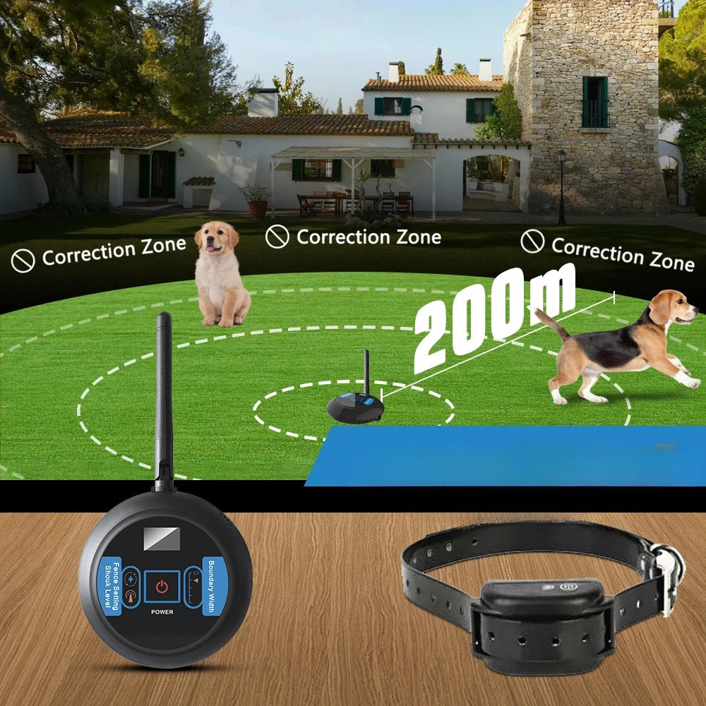 Collier chien avec zone de correction pour protéger votre chien. Image produit Boutiquechien 