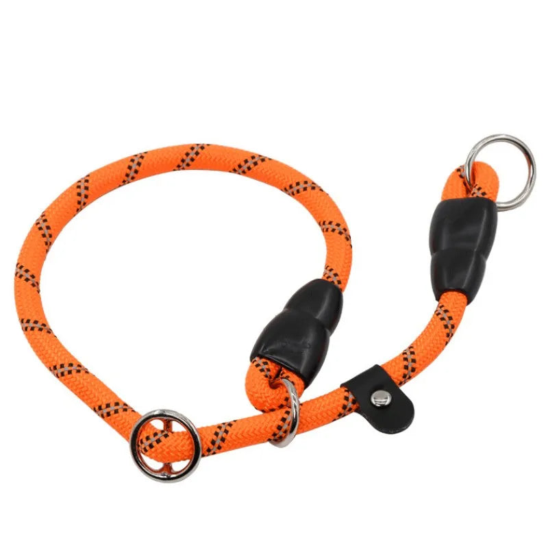 Collier chien lasso de couleur de orange etrangleur de Boutiquechien