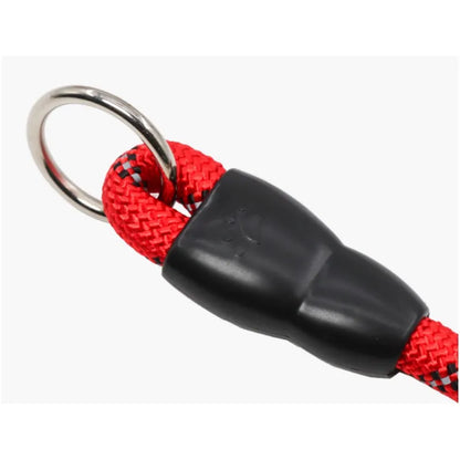 collier lasso pour chien rouge et noir avec anneau. Image produit Boutiquechien