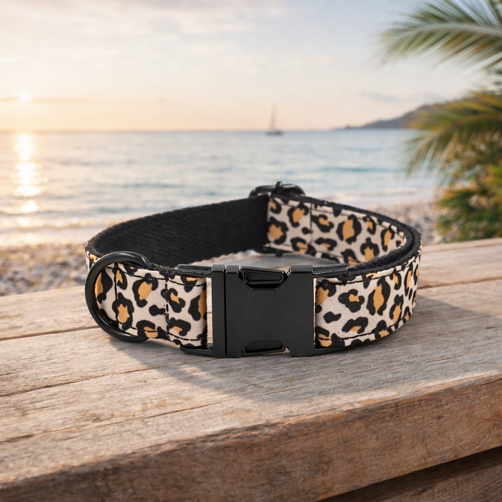 Collier chien leopard avec en fond la mer