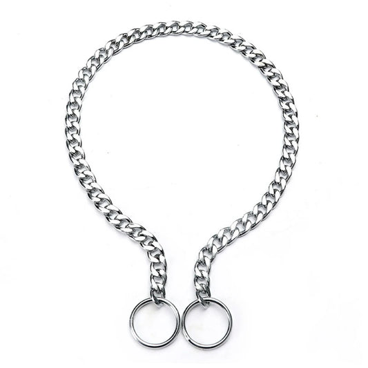 collier pour chien étrangleur de couleur métal. Image produit Boutiquechien