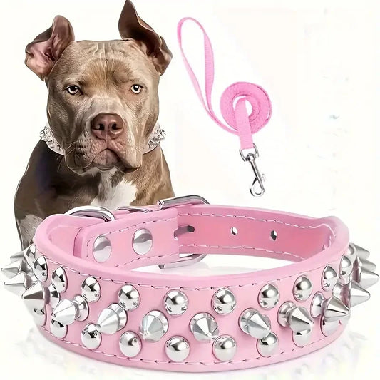 collier à pique rose pour chien avec laisse de même couleur. Image produit Boutiquechien