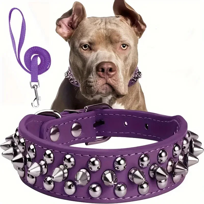collier à pique violet avec sa laisse assortie. Image produit Boutiquechien