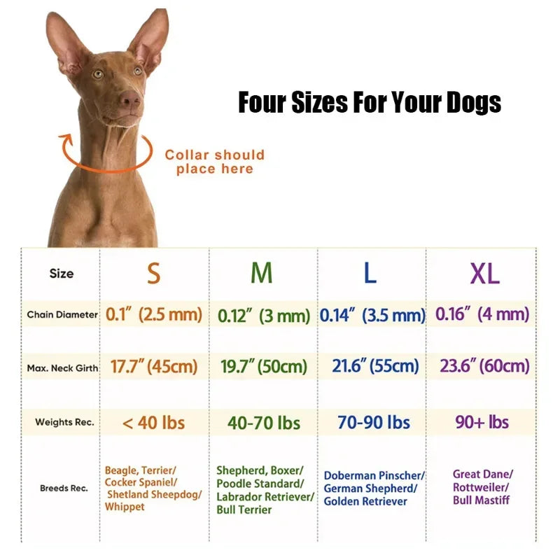Collier chien qui tire dimensions
