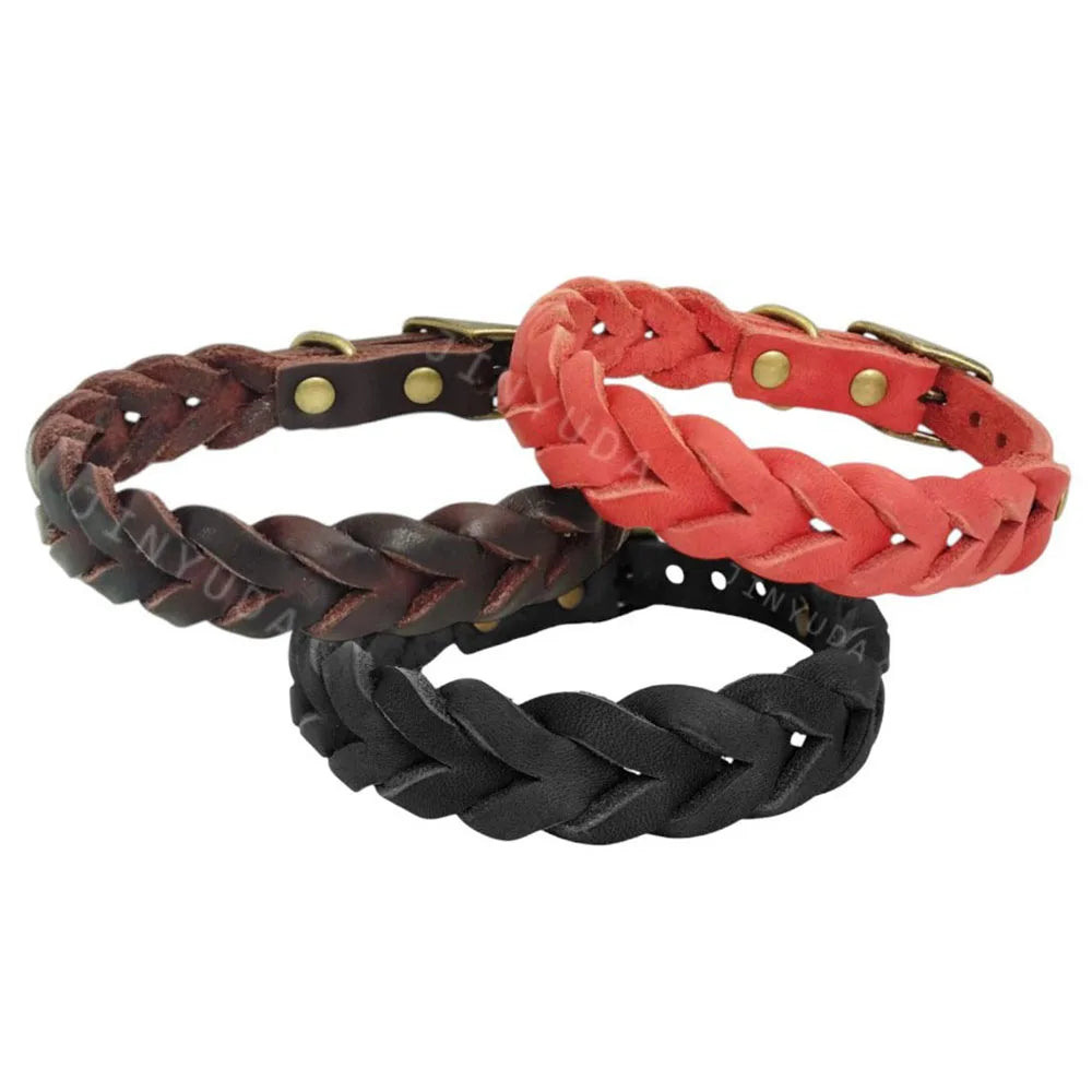 Collier chien rouge cuir comparatif couleurs