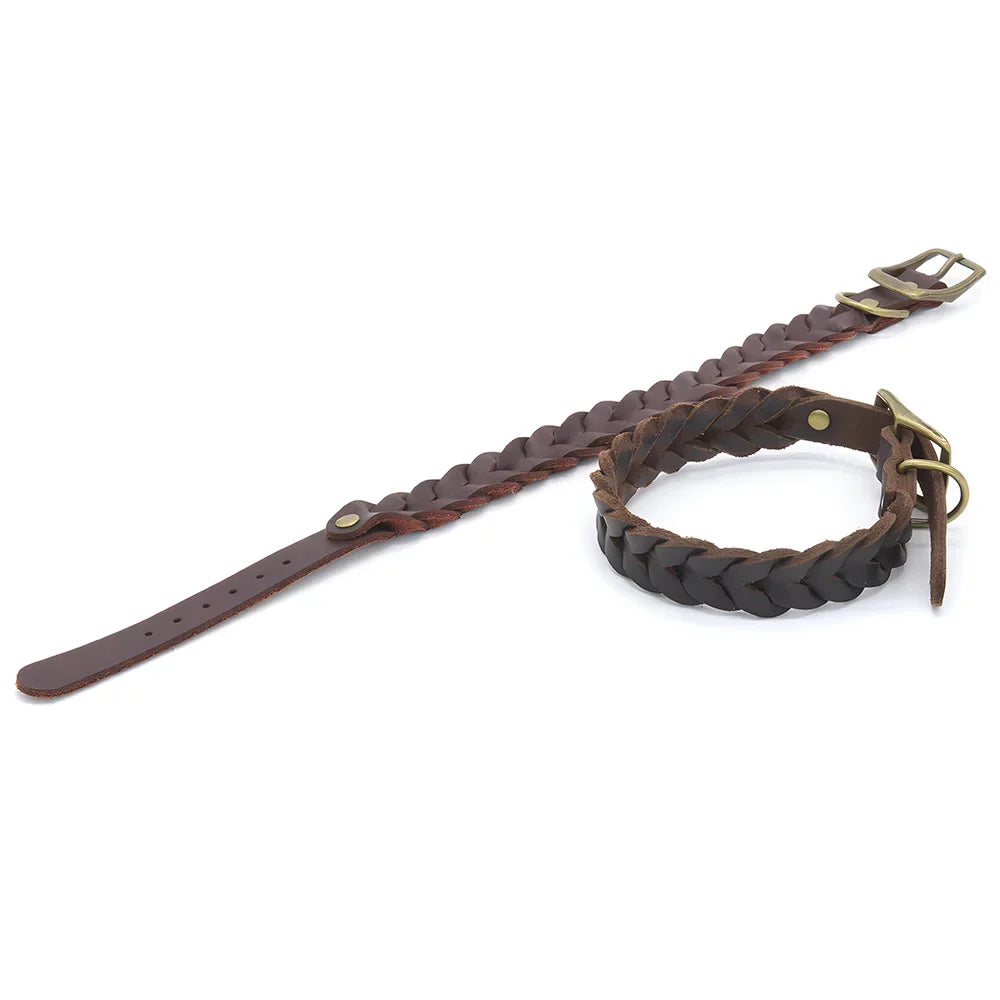 Collier chien rouge cuir détache  Image