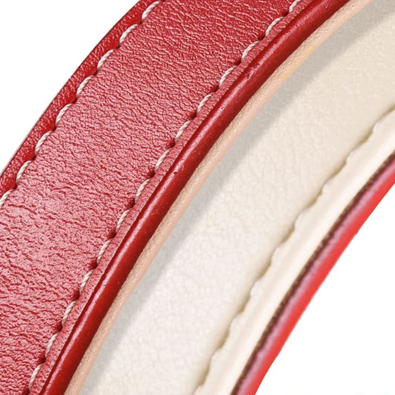 Collier chien rouge en cuir épaisseur du produit  Image