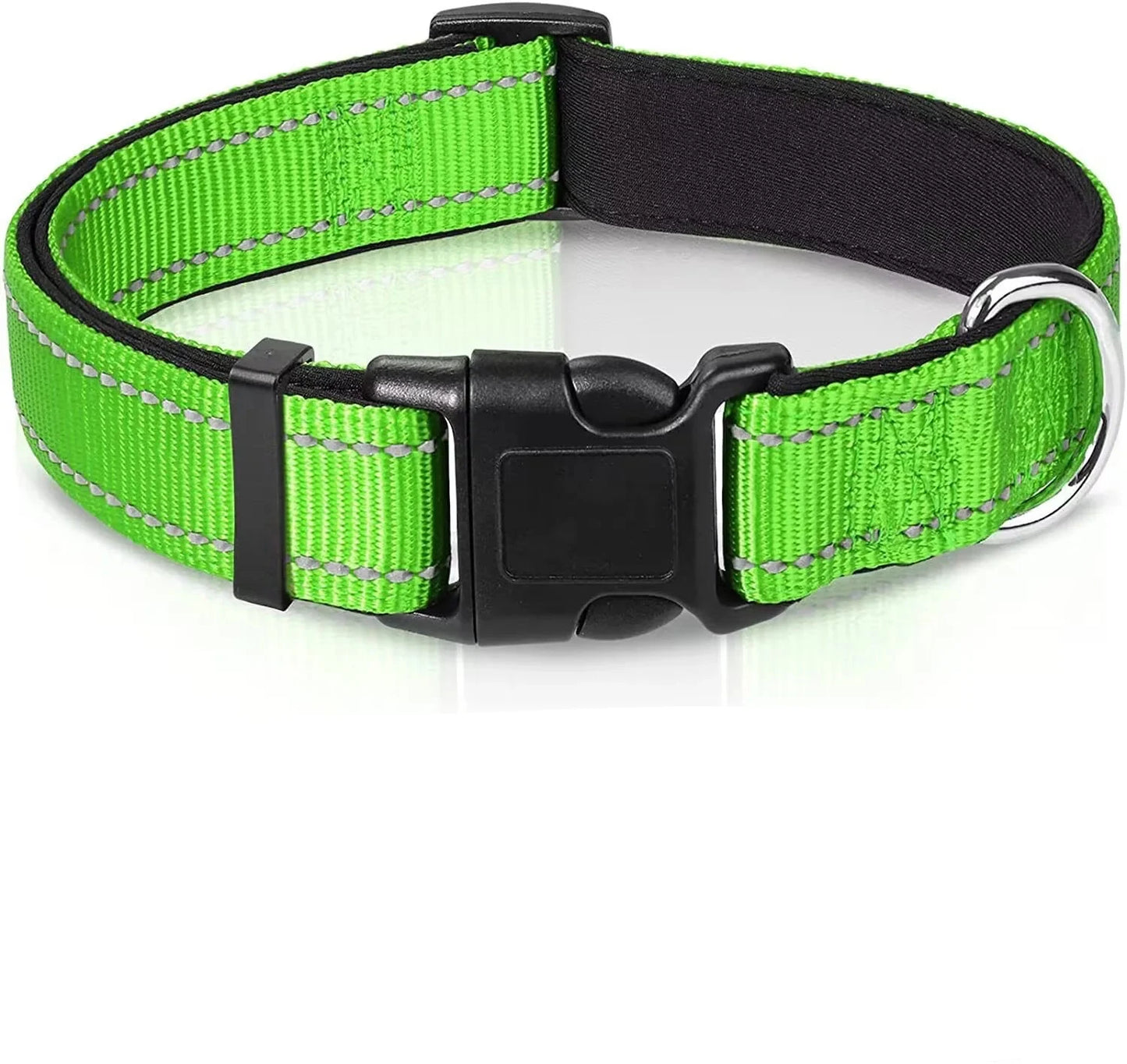 Collier chien sécurité