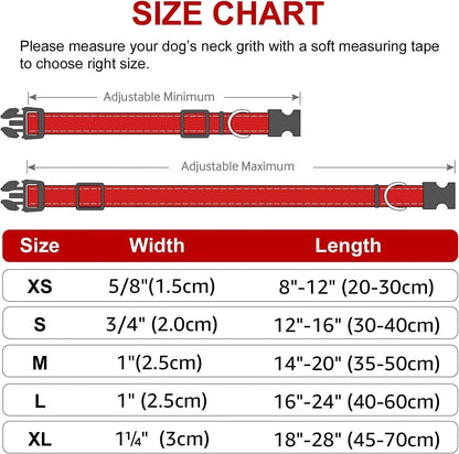 Collier chien sécurité dimensions total 