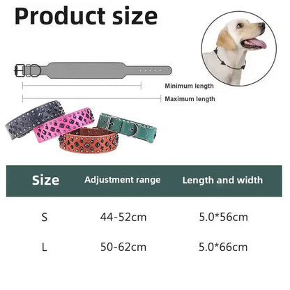 Collier chien solide dimensions 
