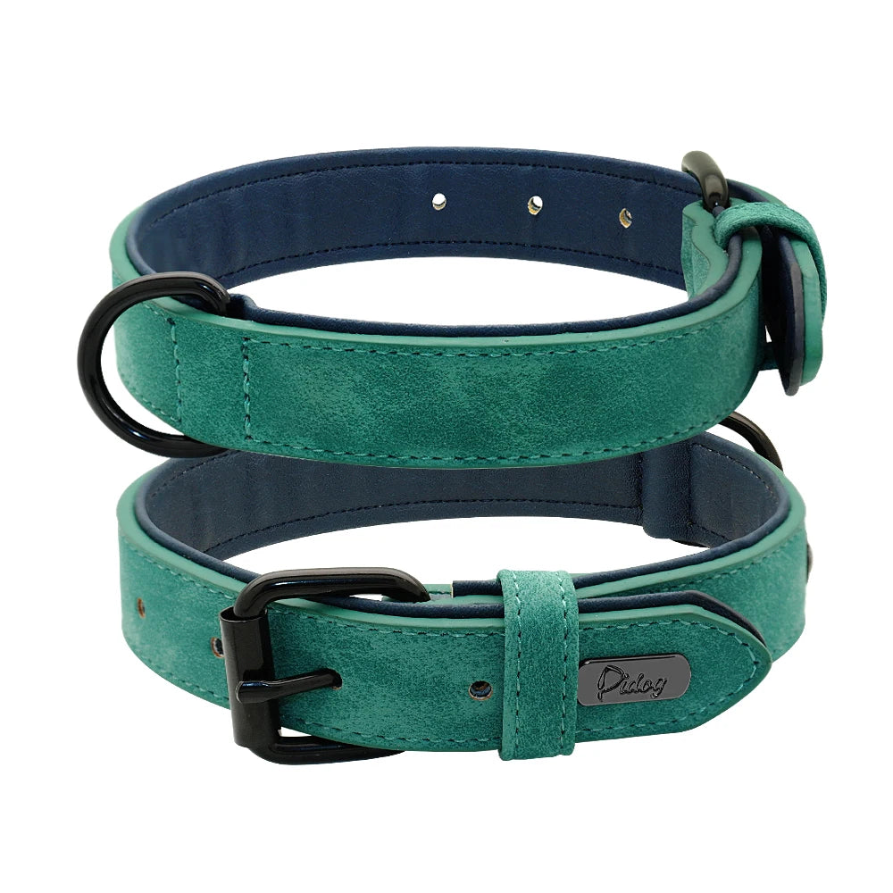 collier style cuir vert pour chien. L'intérieur du collier est bleu et le produit est de Boutiquechien