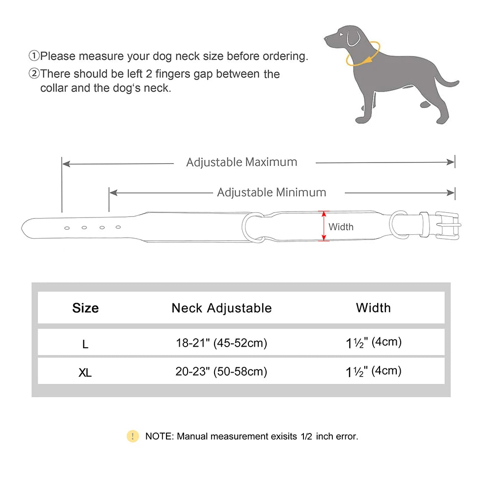 Collier chien tendance dimensions