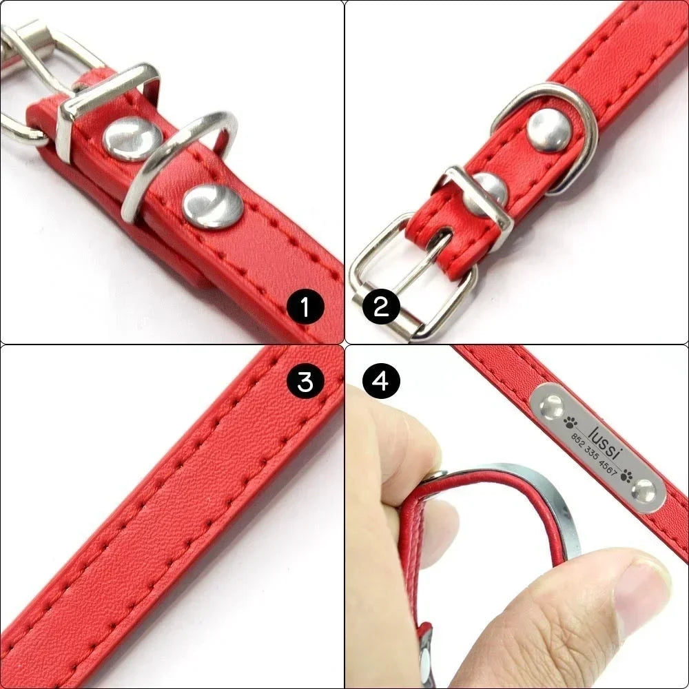 Collier chiot 3 mois fonctionnement produit  Image