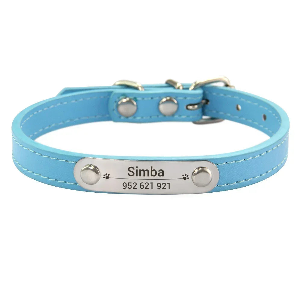 Collier chiot 3 mois bleu claire