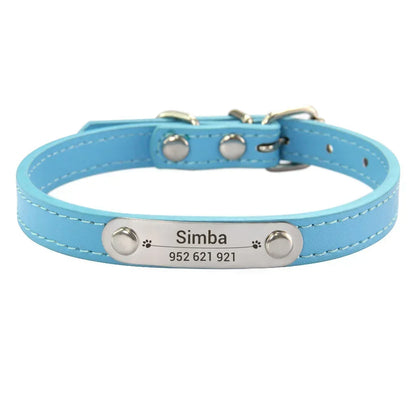 Collier chiot 3 mois bleu claire