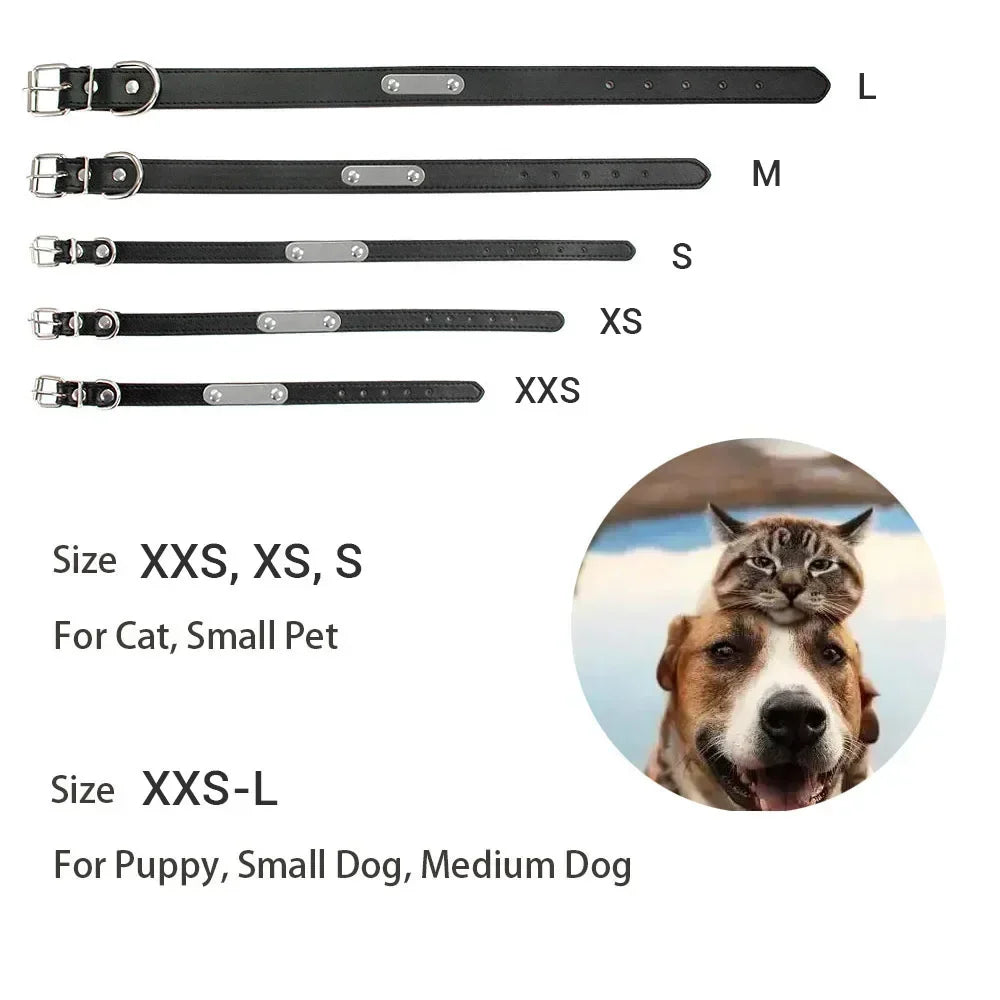 Collier chiot 3 mois dimensions total comparatif  Image