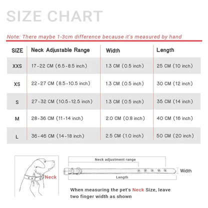 Collier chiot 3 mois dimensions en tableau