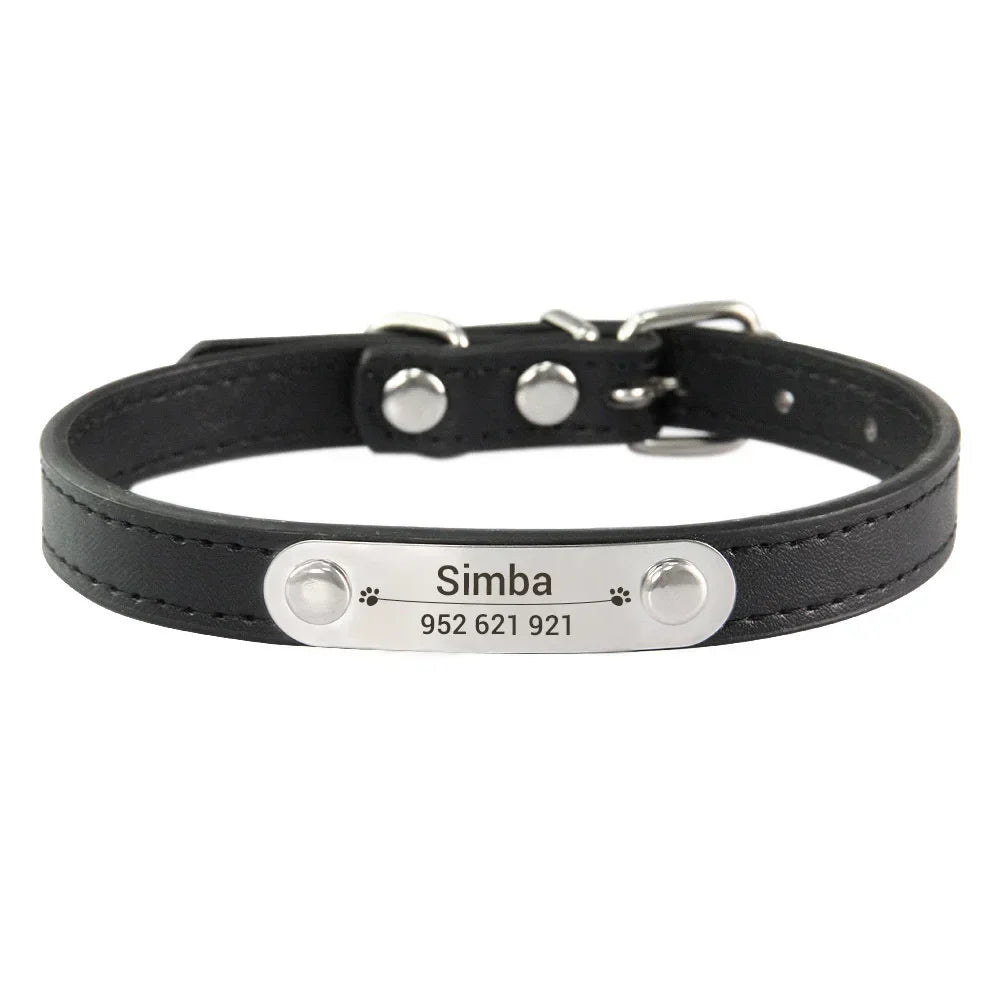 Collier chiot 3 mois noir