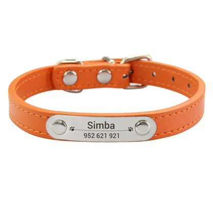 Collier chiot 3 mois orange