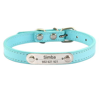 Collier chiot 3 mois bleu claire personnalisable