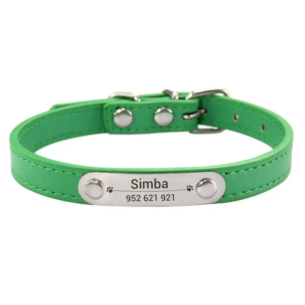 Collier chiot 3 mois vert