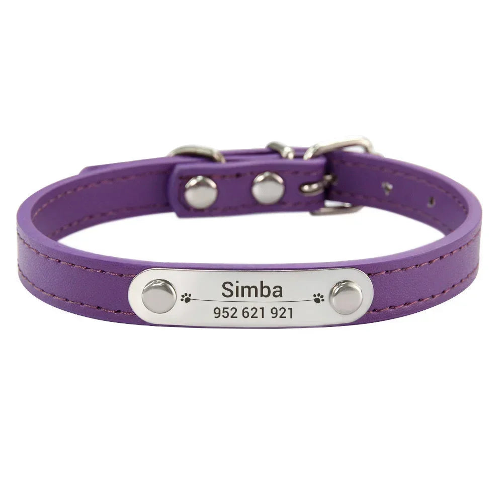 Collier chiot 3 mois violet
