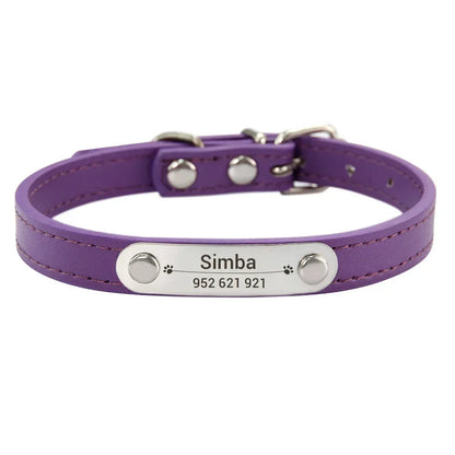 Collier chiot 3 mois violet