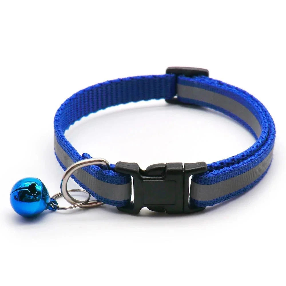 Collier chiot 4 mois bleu fonce