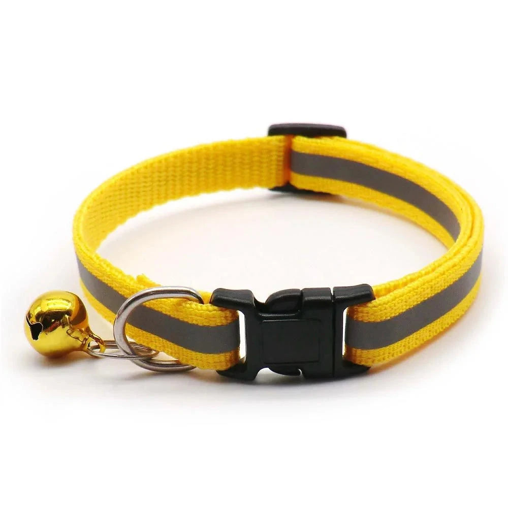 Collier chiot 4 mois jaune