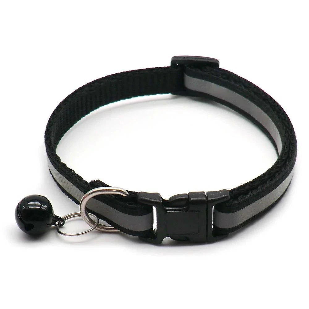Collier chiot 4 mois noir