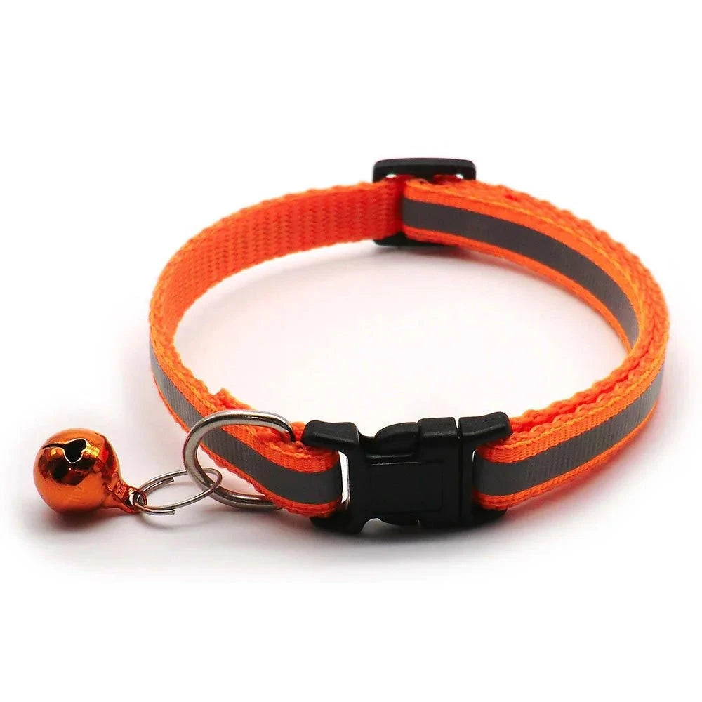 Collier chiot 4 mois orange