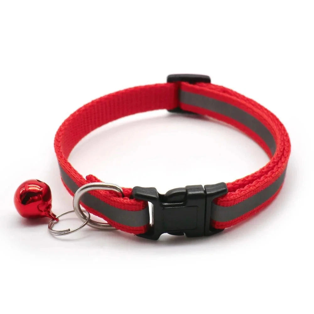 Collier chiot 4 mois rouge