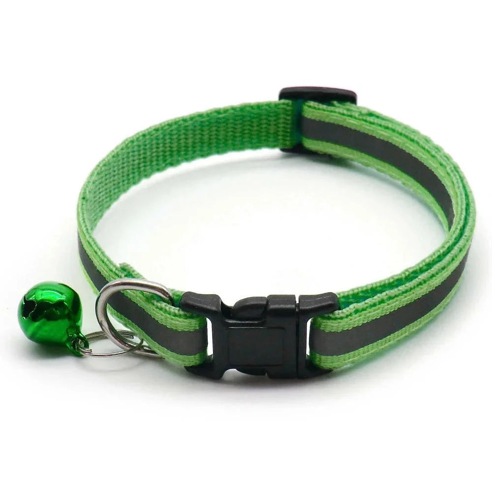 Collier chiot 4 mois vert