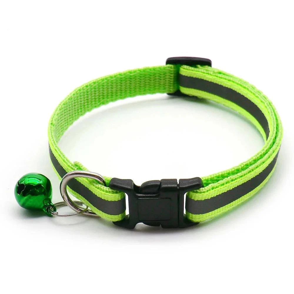 Collier chiot 4 mois vert claire 