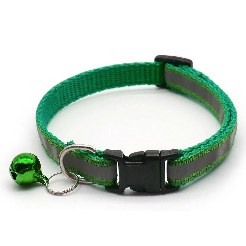 Collier chiot 4 mois vert fonce