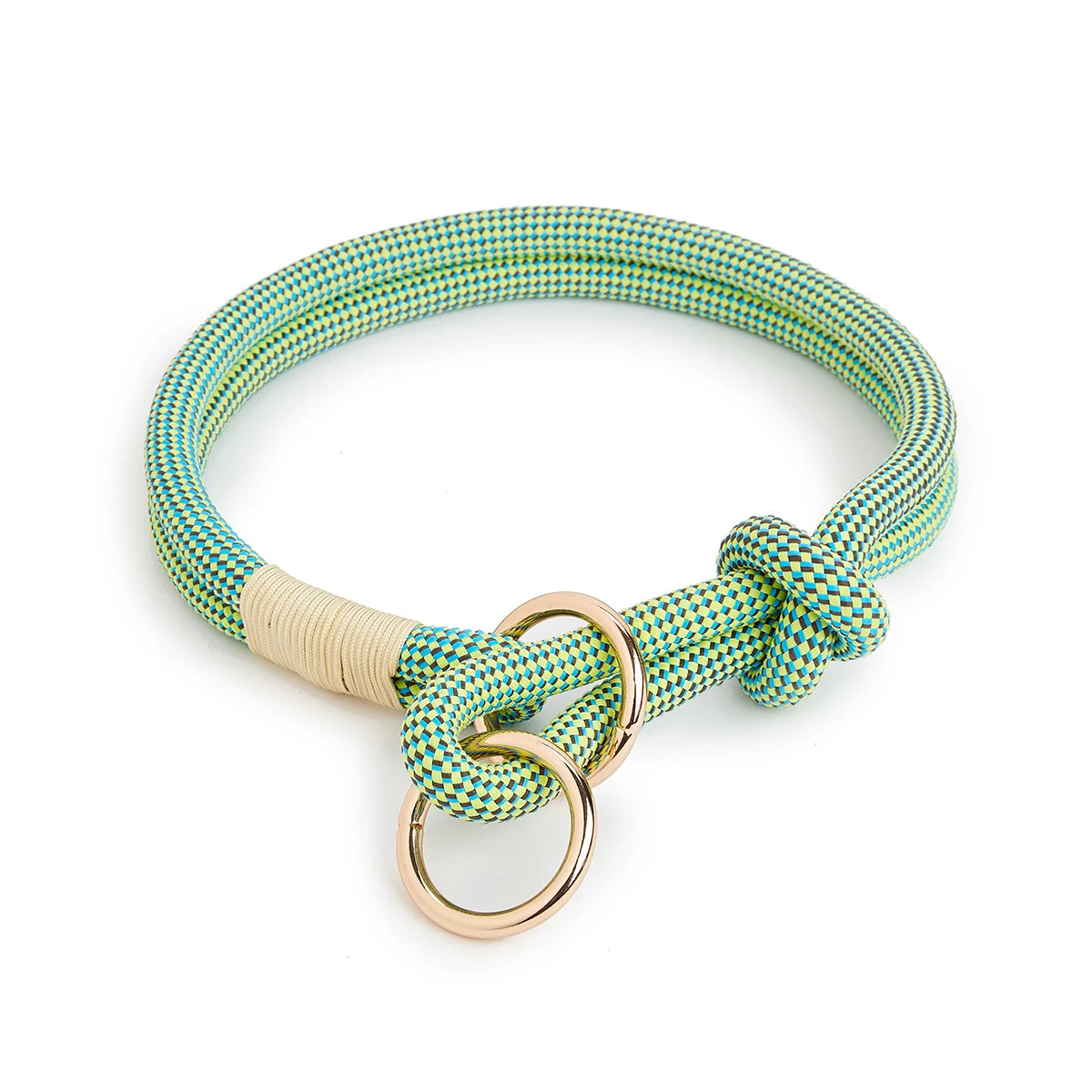Collier chiot beagle de couleur vert avec un design moderne dans un fond blanc