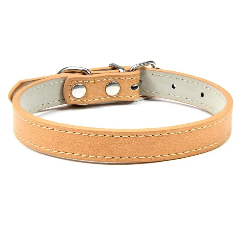 Collier chiot de couleur beige pour petit chien. Image produit Boutiquechien 