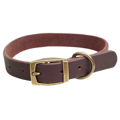 Collier chiot cuir de couleur brun et or