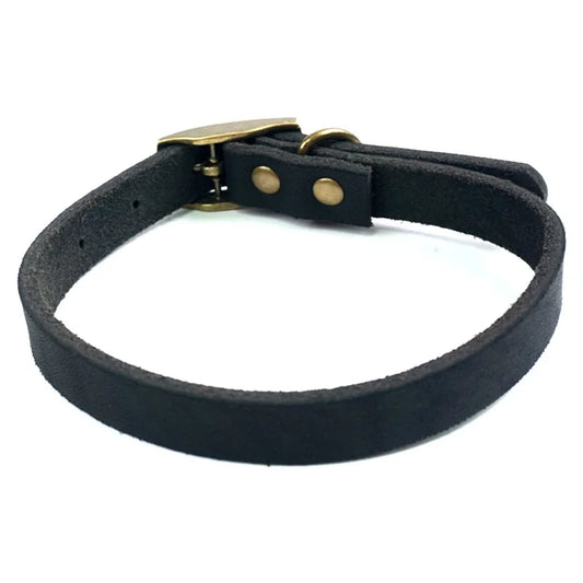 Collier chiot cuir de couleur noir dans un fond blanc